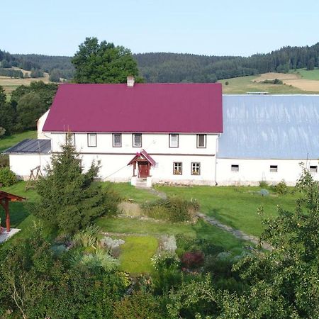 Pod Kasztanem Gospodarstwo Agroturystyczne Stronie Śląskie エクステリア 写真