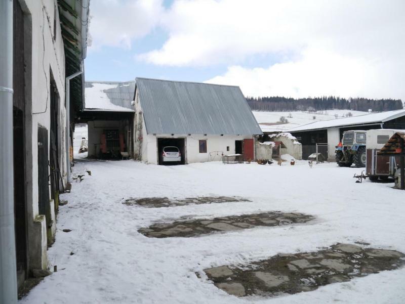 Pod Kasztanem Gospodarstwo Agroturystyczne Stronie Śląskie エクステリア 写真