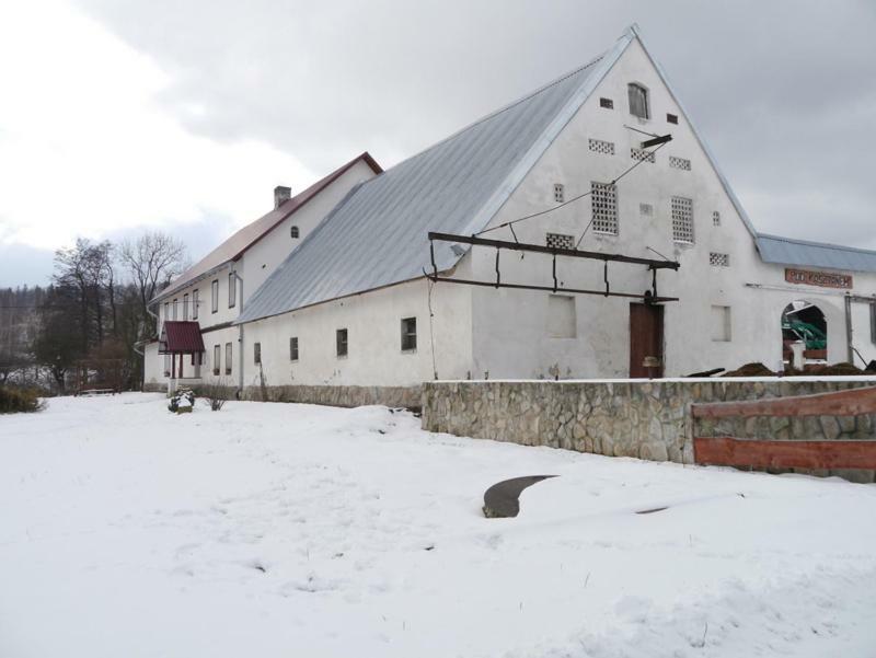 Pod Kasztanem Gospodarstwo Agroturystyczne Stronie Śląskie エクステリア 写真