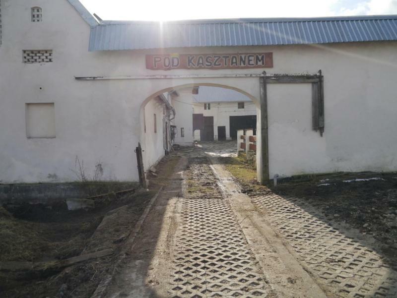 Pod Kasztanem Gospodarstwo Agroturystyczne Stronie Śląskie エクステリア 写真