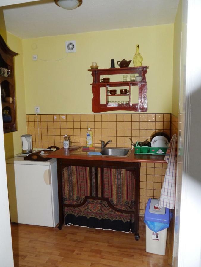Pod Kasztanem Gospodarstwo Agroturystyczne Stronie Śląskie エクステリア 写真